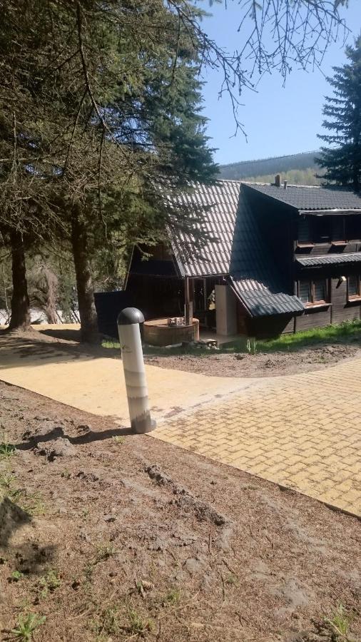 Вілла Oliwne Wzgorza Строне-Шльонське Екстер'єр фото